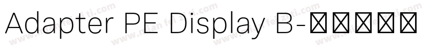 Adapter PE Display B字体转换
